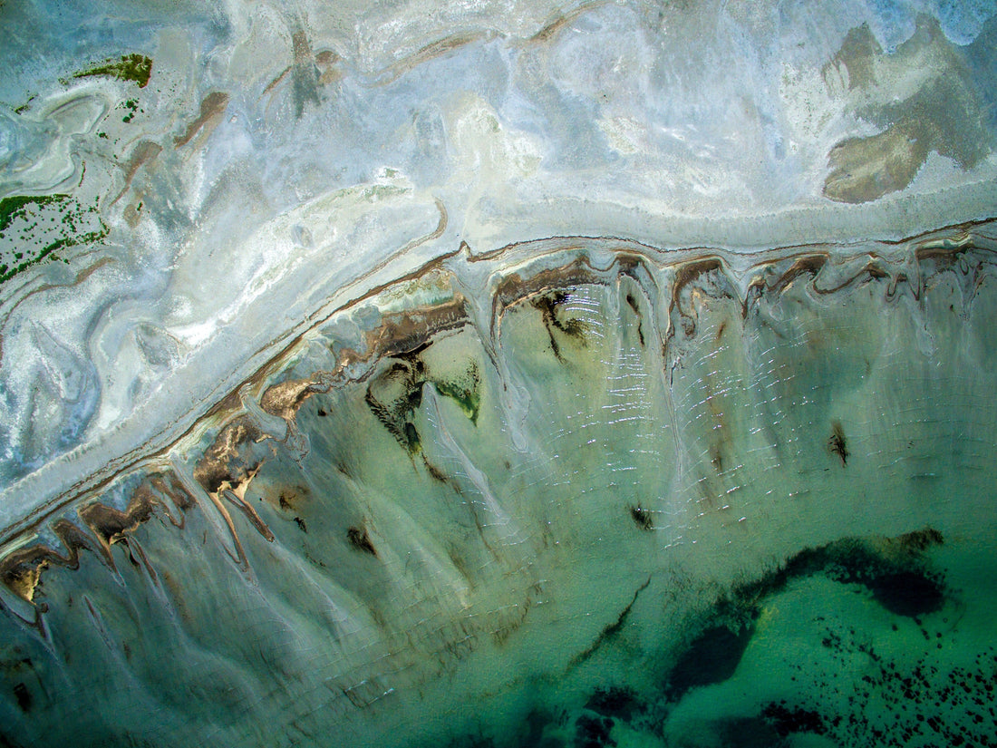 6 Amazing Things to Do on Earth Day
