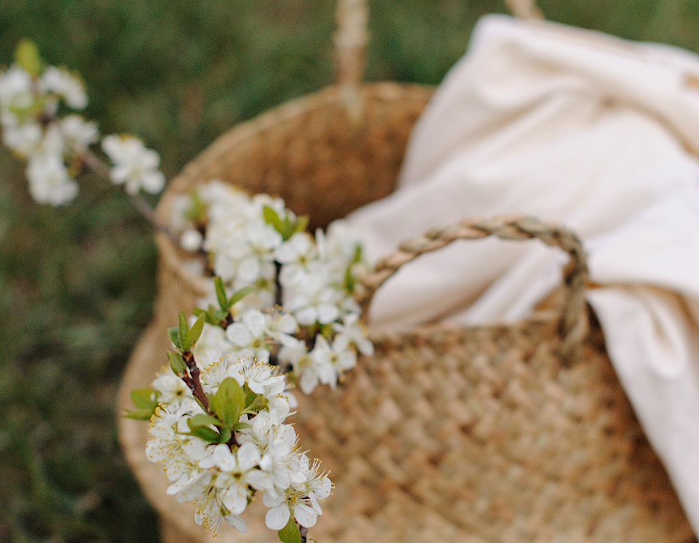Make Your Own Dryer Sheets