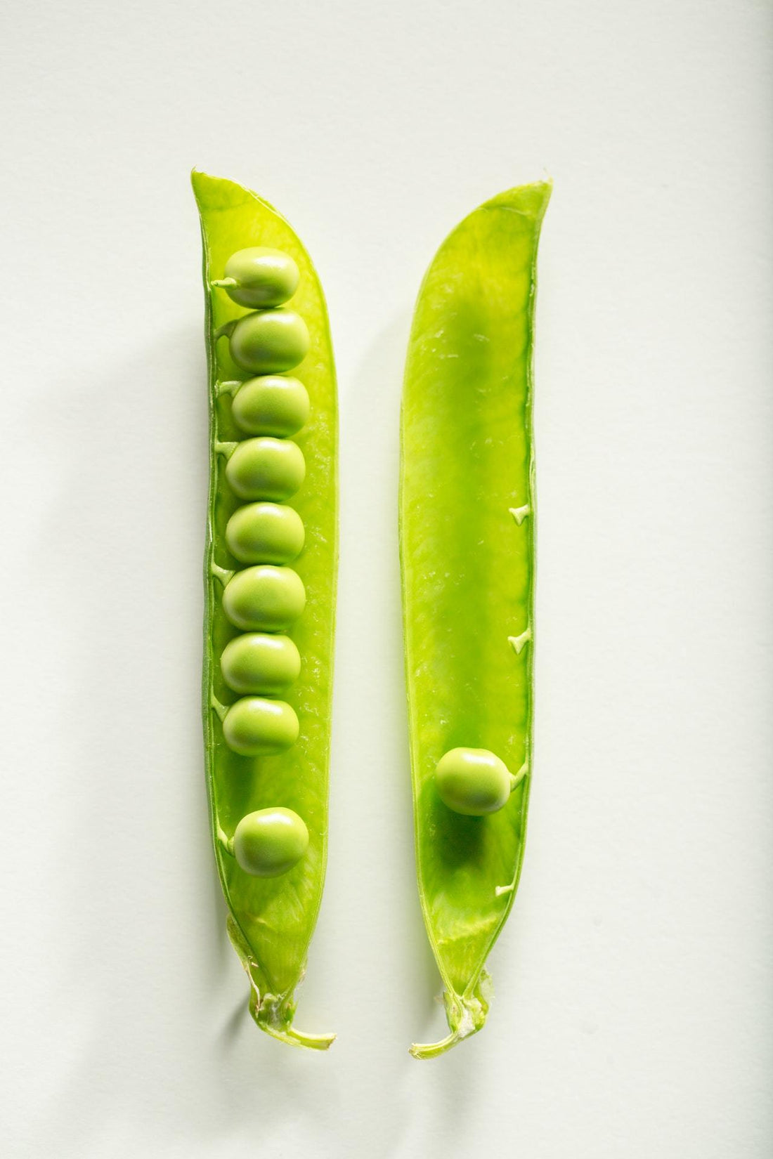Minimalism and LastObject: like Two Peas in a Pod
