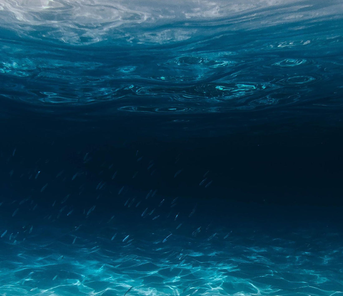 Spark Change for Happy and Healthy Oceans