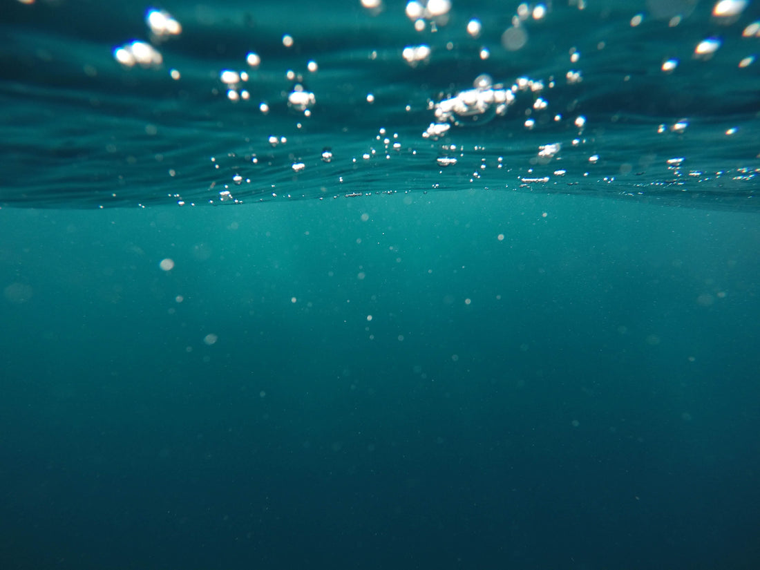 We’re Donating All Our Black Friday Profits To The Ocean